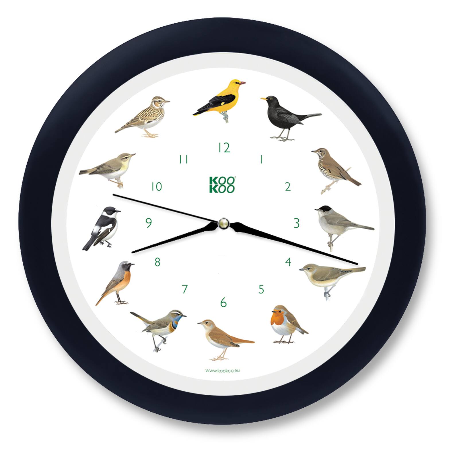 KOOKOO UltraFlat fris, Horloge des Oiseaux avec 12 Oiseaux indigènes et KOOKOO UltraFlat fris, Horloge des Oiseaux avec 12 Oiseaux indigènes et